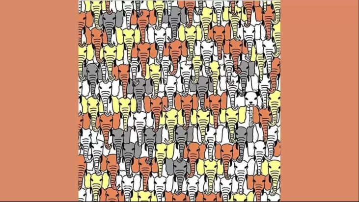 οπτική ψευδαίσθηση