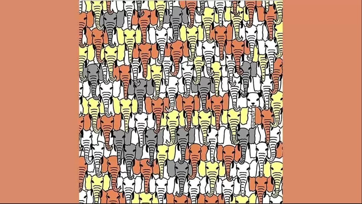 οπτική ψευδαίσθηση