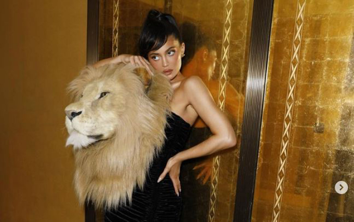 Ρούχα με κεφάλια ζώων