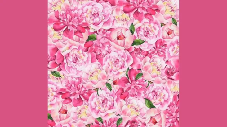 οπτική ψευδαίσθηση