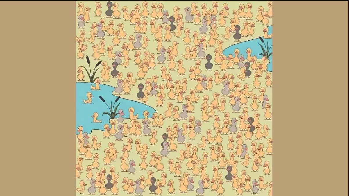 οπτική ψευδαίσθηση