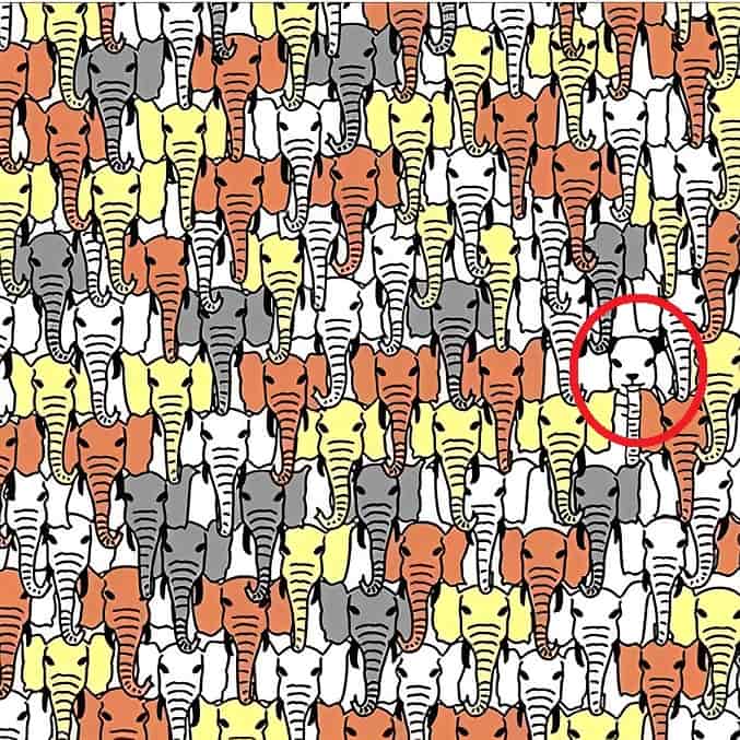 οπτική ψευδαίσθηση