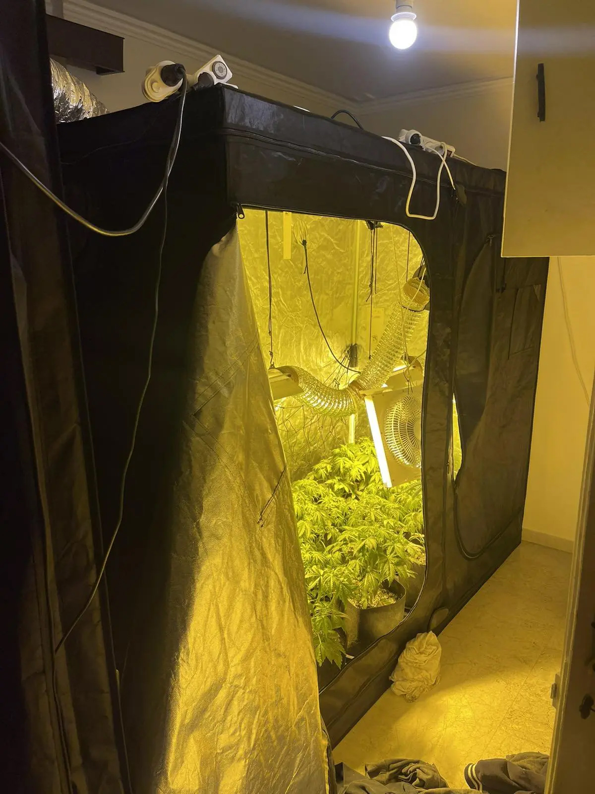 Πάτρα συλλήψεις