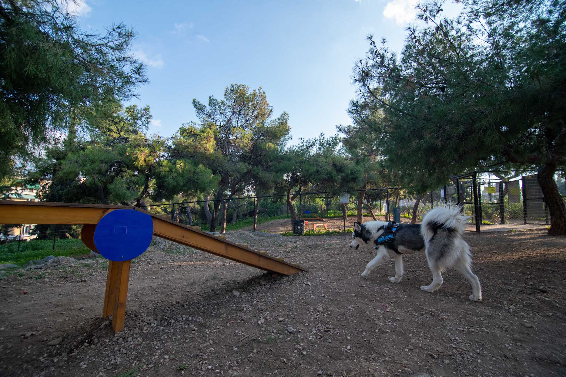 dog parks Αθήνα