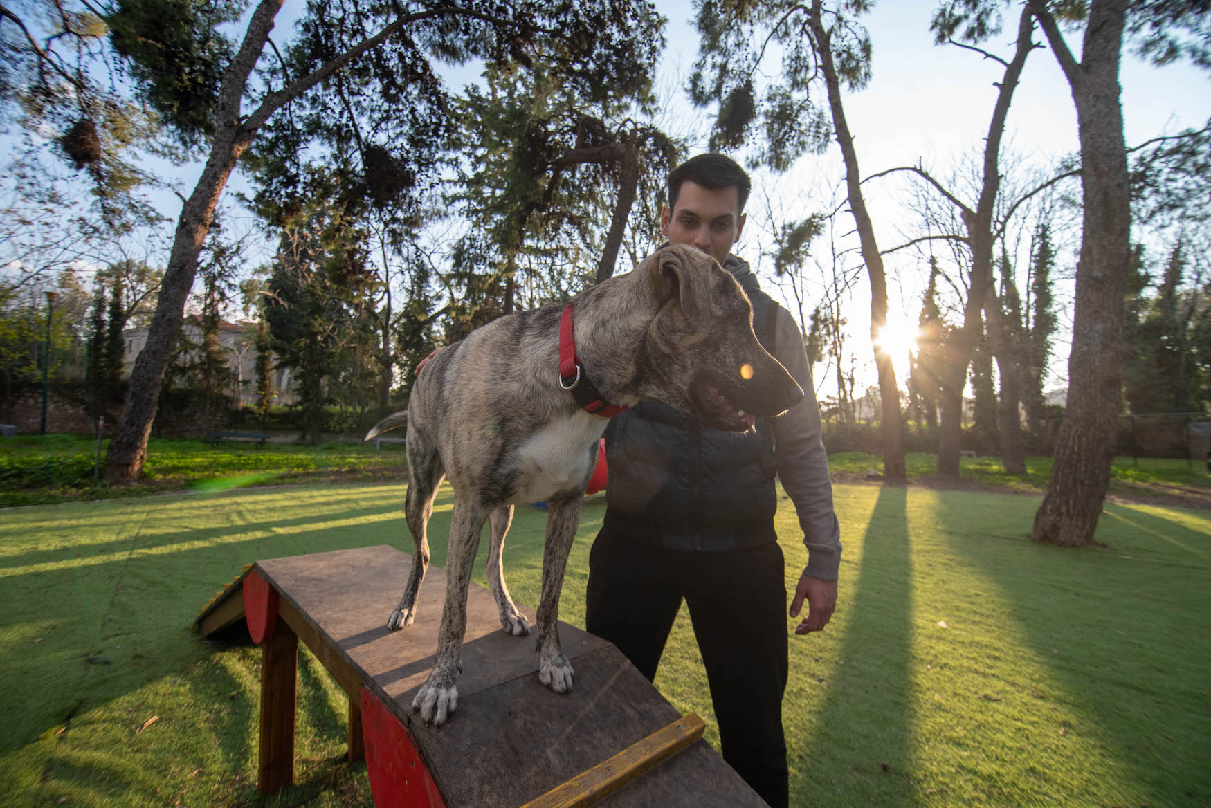 Δύο νέα σύγχρονα dog parks