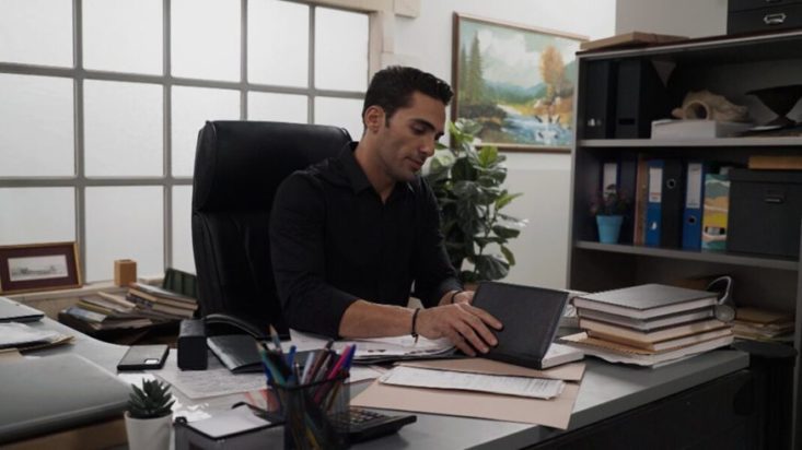 Η Γη της Ελιάς