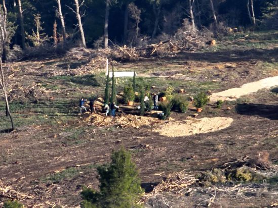 Τατόι- τάφος τέως βασιλιά Κωνσταντίνου