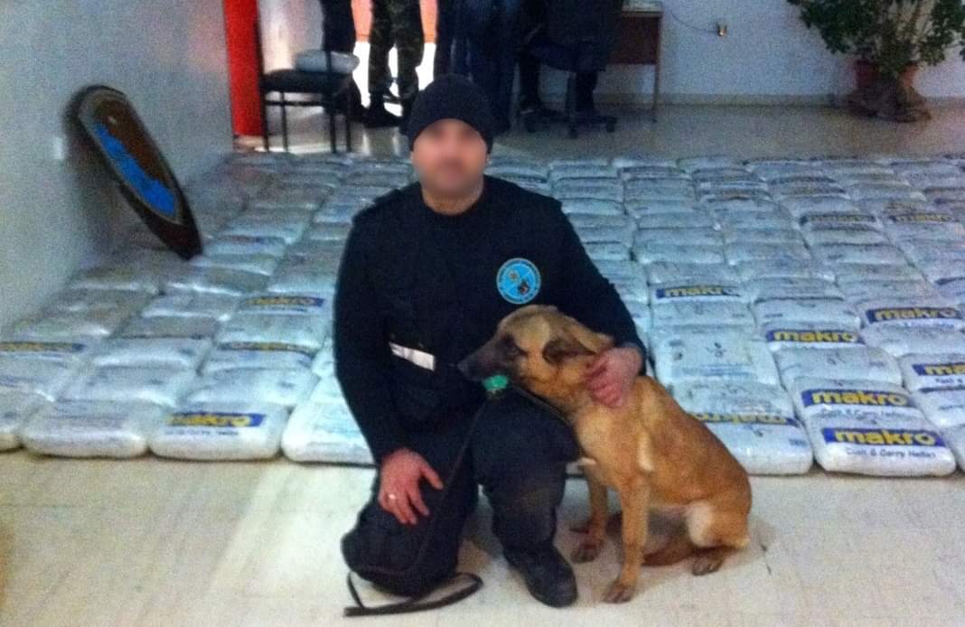 Ηγουμενίτσα: Πέθανε ο σκύλος-«θρύλος» του λιμεναρχείου