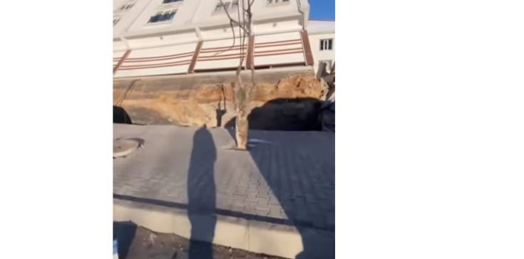 Σεισμός στην Τουρκία