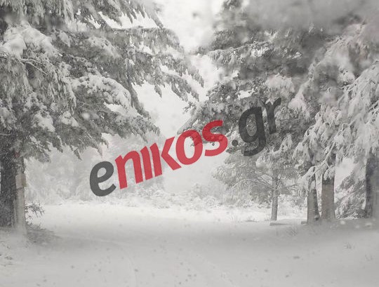 Κακοκαιρία «Μπάρμπαρα»: Σε λευκό κλοιό η Εύβοια – Νέο μήνυμα από το 112 – ΒΙΝΤΕΟ και ΦΩΤΟ αναγνωστών