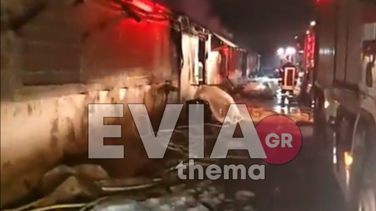 Εύβοια: Φωτιά σε πτηνοτροφική μονάδα στον Πισσώνα – Άμεση η επέμβαση των εθελοντών Ψαχνών