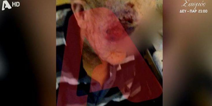 γηροκομείο Κορυδαλλός