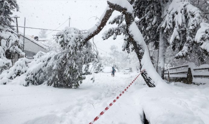 ηλεκτροδότηση