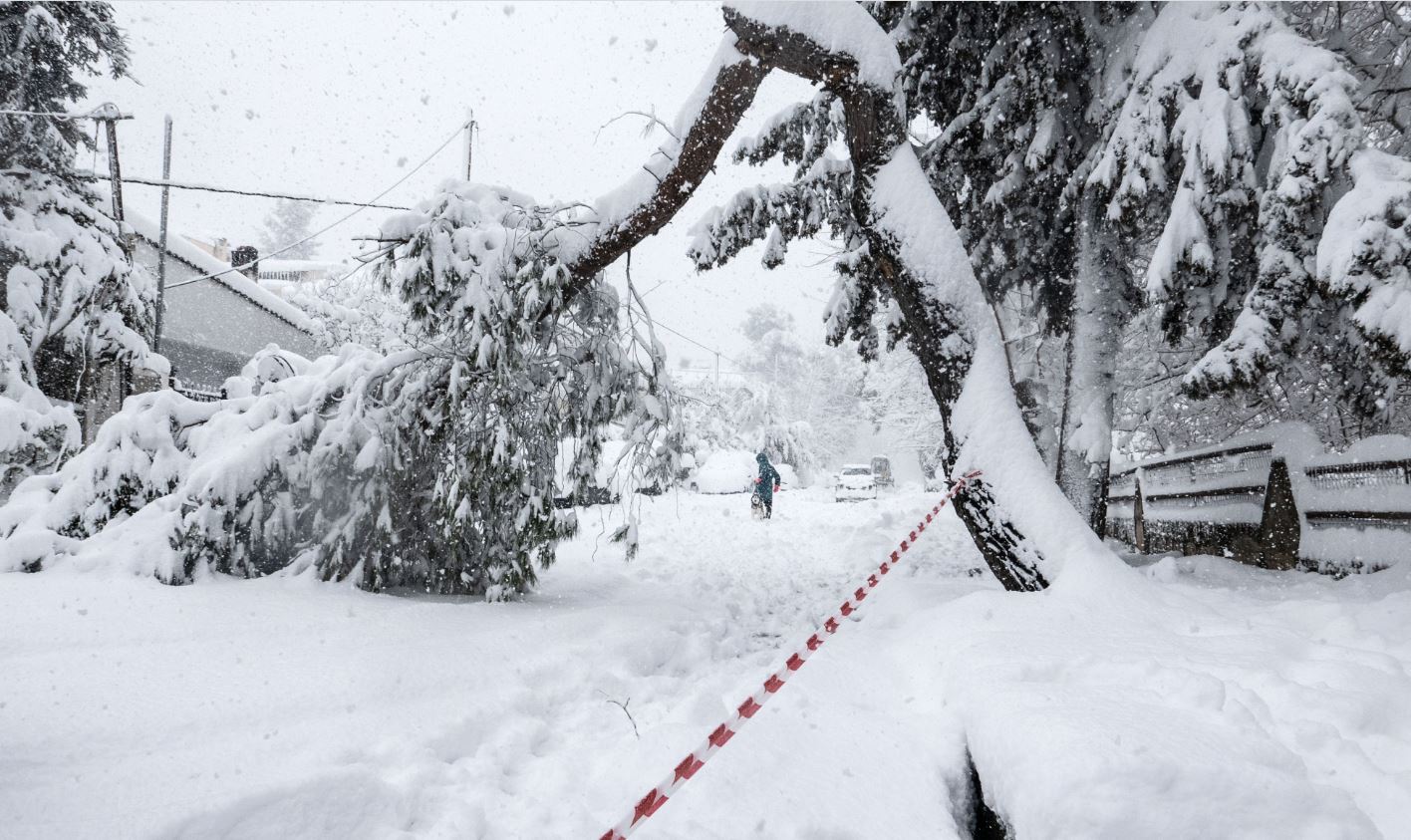 ηλεκτροδότηση