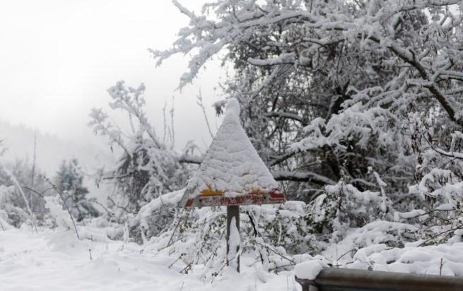 καταστήματα