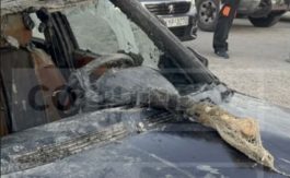 Κέρκυρα Οστά