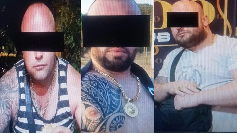 Νέα Ιωνία Δράστες