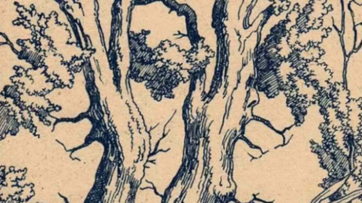 οπτική ψευδαίσθηση