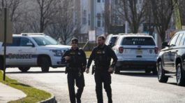 αστυνομία ΗΠΑ