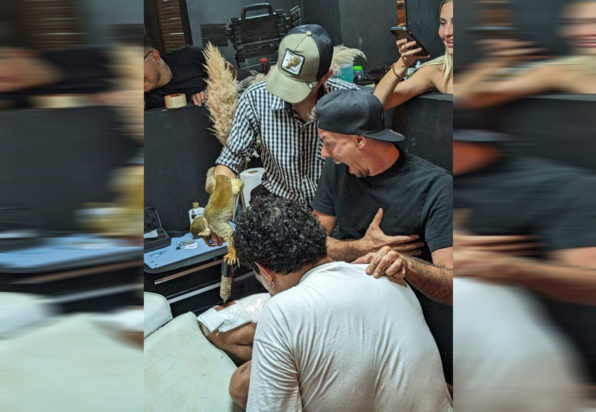 Μαϊμού τατουάζ