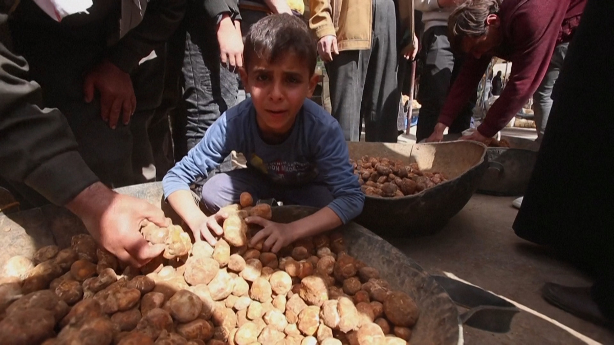 Λιχουδιές βουτηγμένες στο αίμα – Σύριοι ρισκάρουν τη ζωή τους για τρούφες