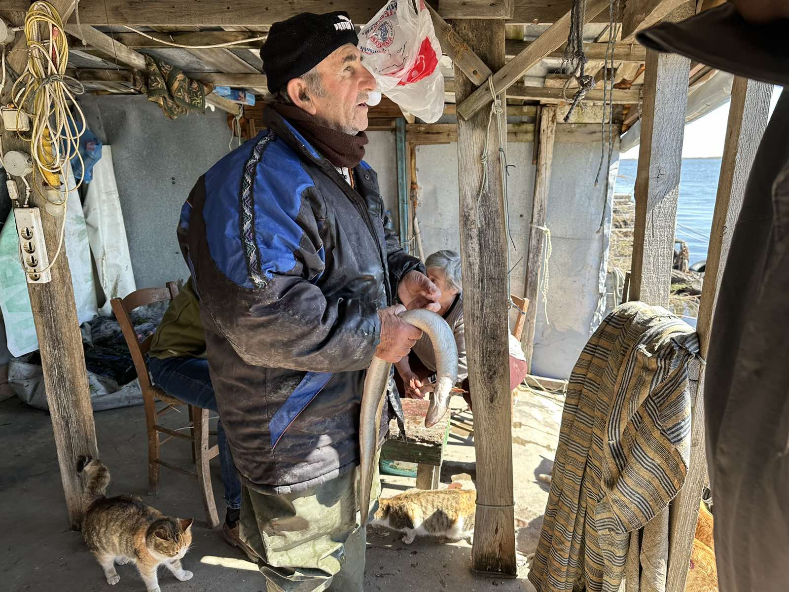 Κυρά της Έβρου