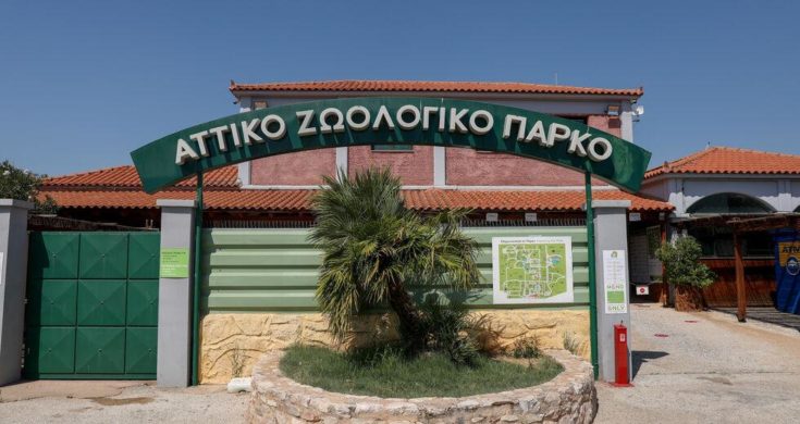 Αττικό Ζωολογικό Πάρκο