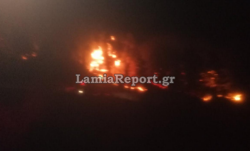 Φωτιά Φθιώτιδα