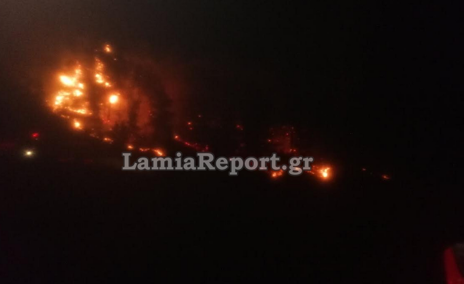 Φωτιά Φθιώτιδα