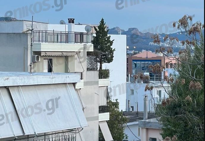 Νέο Ηράκλειο: Κυπαρίσσι «φύτρωσε» στον τρίτο όροφο πολυκατοικίας – ΦΩΤΟ αναγνώστη