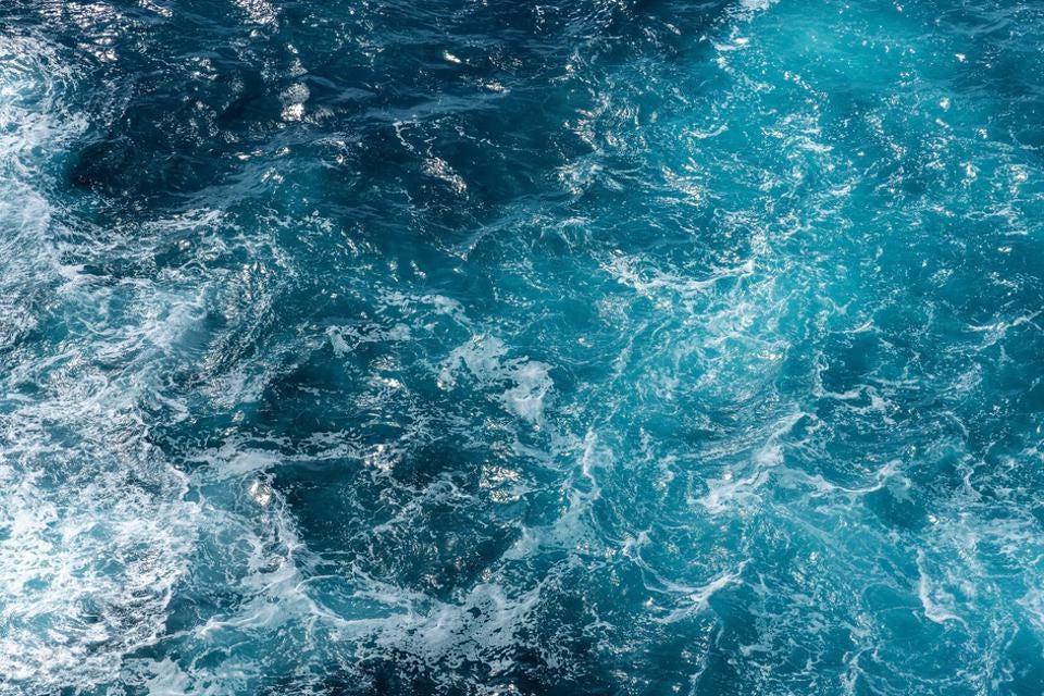 ΟΗΕ: Συμφωνία για την προστασία των ωκεανών – «Το πλοίο έφθασε στην ακτή»
