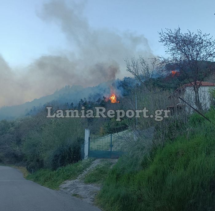 Φθιώτιδα: Μεγάλη φωτιά στον οικισμό Καραβίδια – Κοντά σε σπίτια οι φλόγες