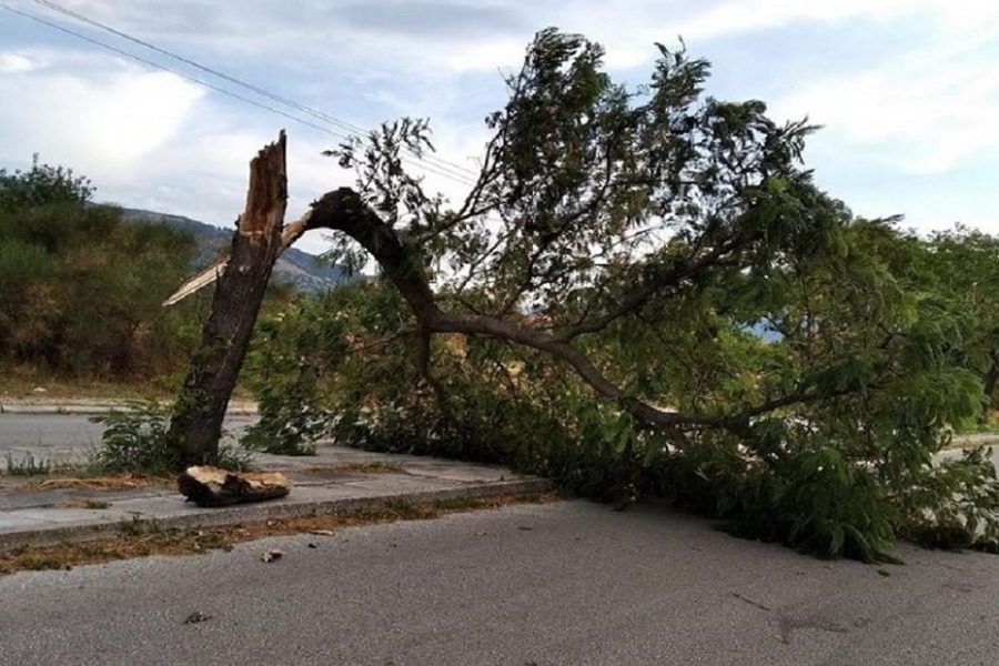 Κακοκαιρία στην Λέσβο: Πτώσεις δέντρων