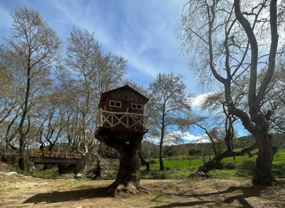 δεντρόσπιτο ΄Λάρισα