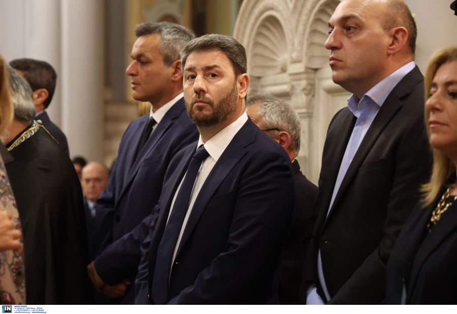 Νίκος Ανδρουλάκης