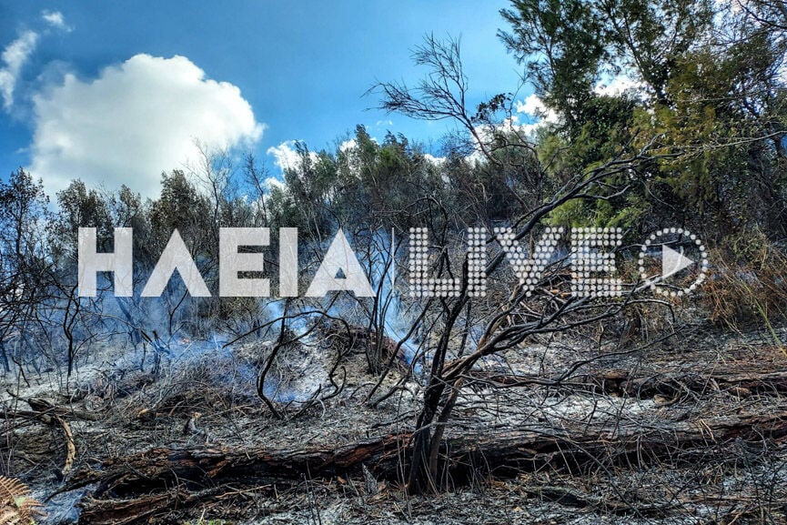 Ηλεία: Φωτιά σε αγροτοδασική έκταση στην Αγία Άννα