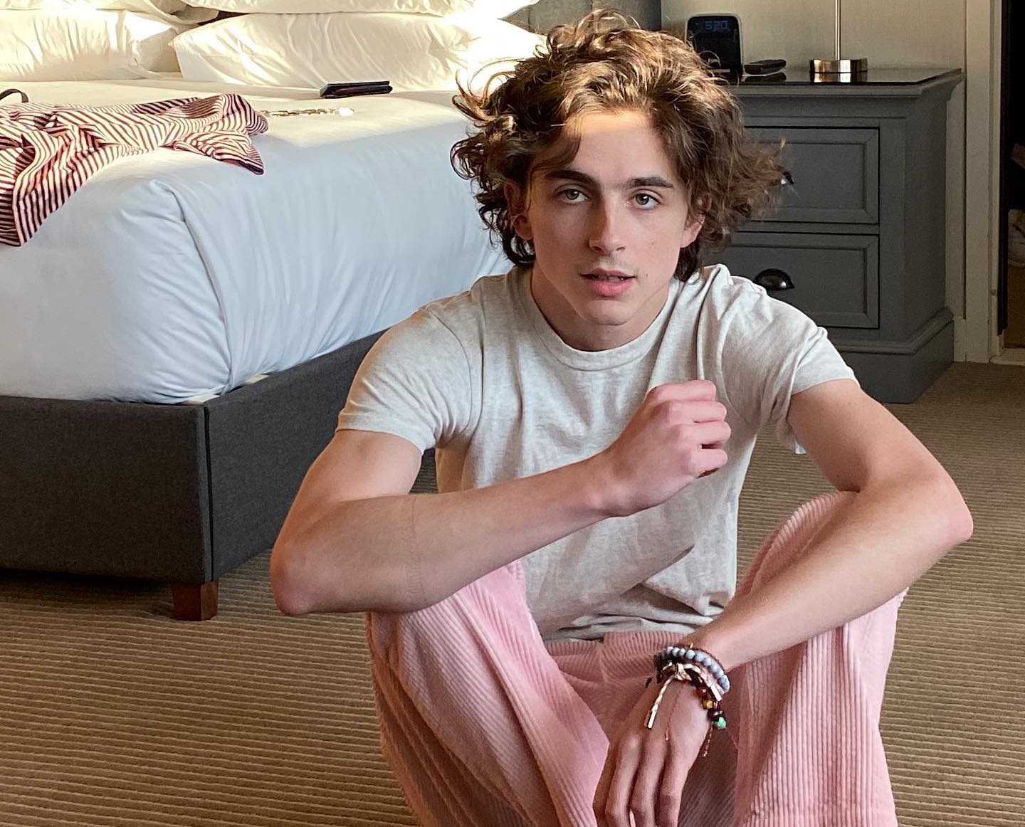 Timothée Chalamet: Οργιάζουν οι φήμες που τον θέλουν ζευγάρι με την Kylie Jenner
