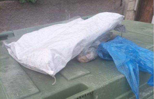 Φρίκη στον Βόλο με νεογέννητα γατάκια