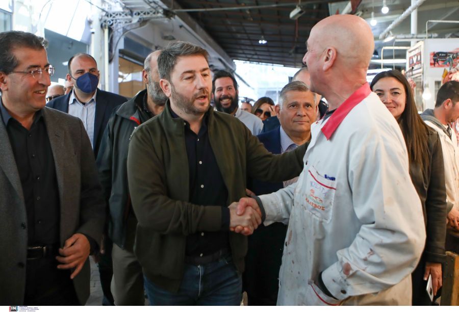 Ανδρουλάκης: «Ο Μητσοτάκης επέτρεπε στα καταδικασμένα μέλη της ΧΑ να κάνουν προεκλογική εκστρατεία – Ο Τσίπρας ψαρεύει σε θολά νερά