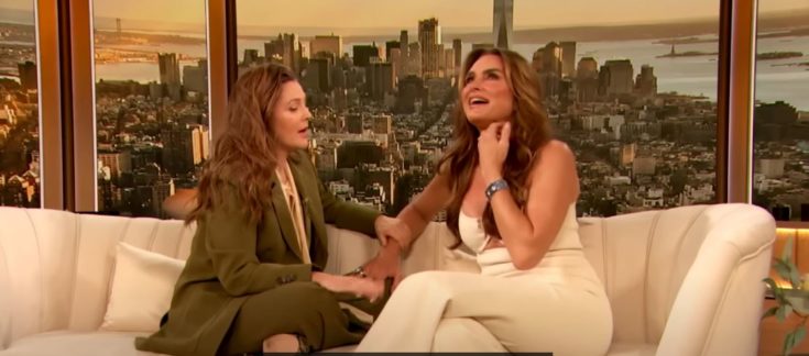 Μπρουκ Σιλντς