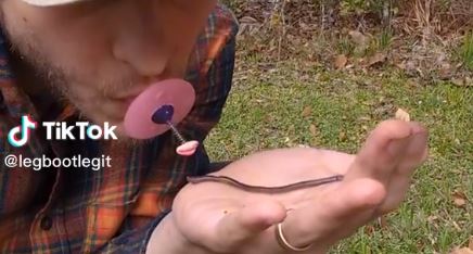 Bugkiss: Viral η συσκευή με την οποία μπορείς να… φιλάς έντομα