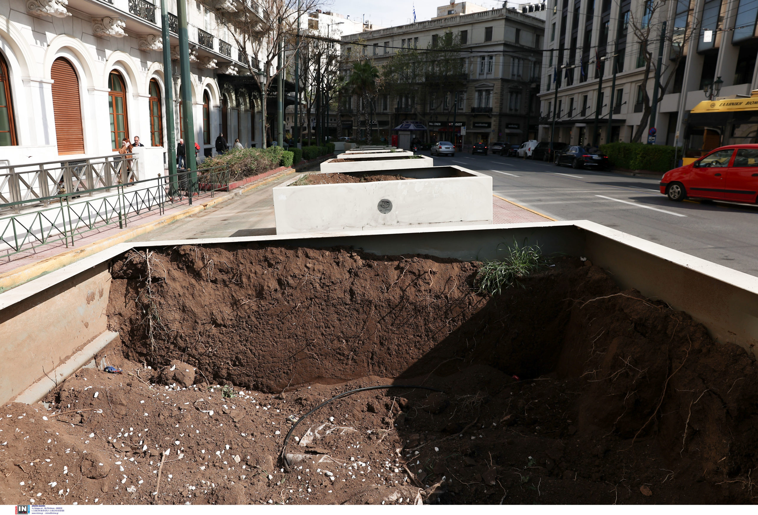 Χωρίς φοίνικες η Πανεπιστημίου