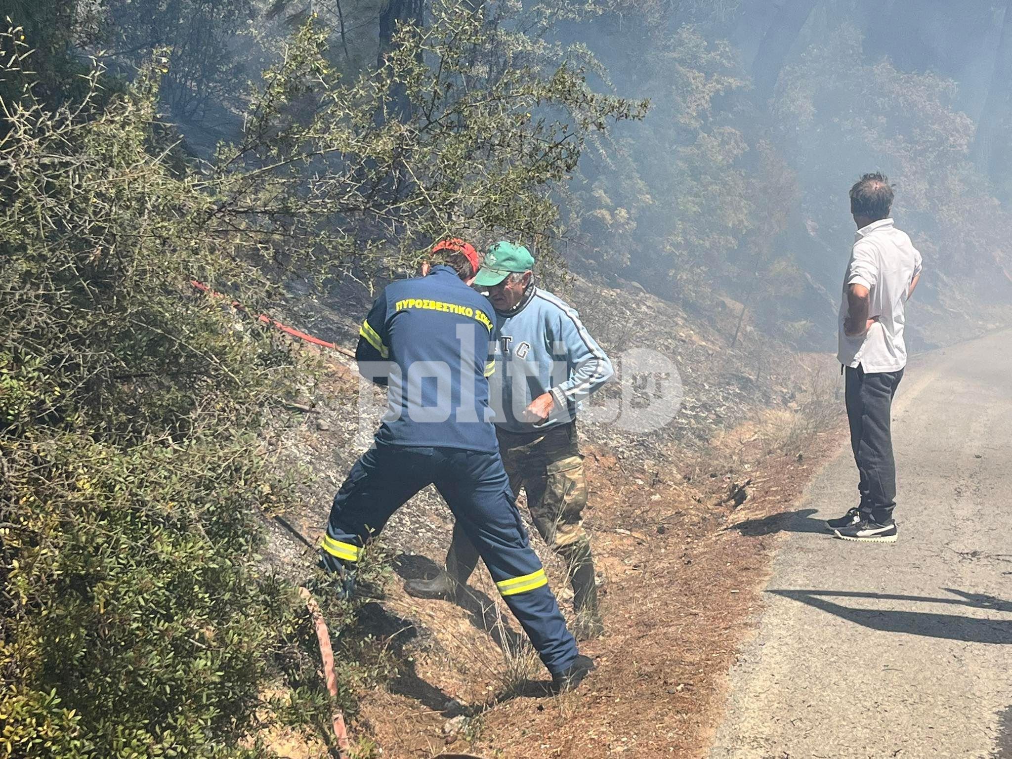 Φωτιά Χαλκιδική