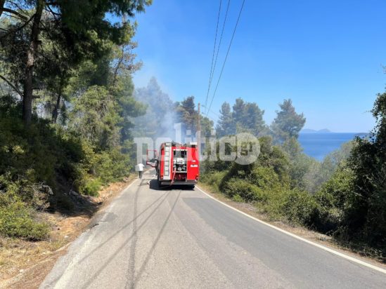 Φωτιά Χαλκιδική