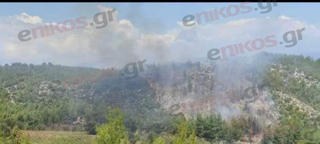 φωτιά Ωρωπός