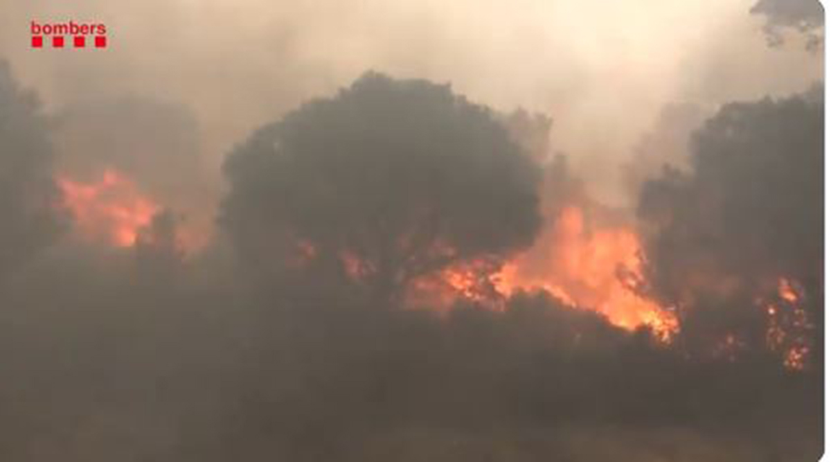 Γαλλία: Μεγάλη πυρκαγιά στα σύνορα με την Ισπανία