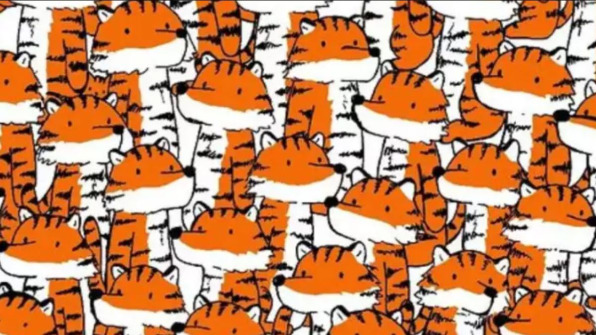 Οπτική ψευδαίσθηση: Εντοπίστε τις 4 γάτες μέσα σε 7 δευτερόλεπτα – Το 99% αποτυγχάνει