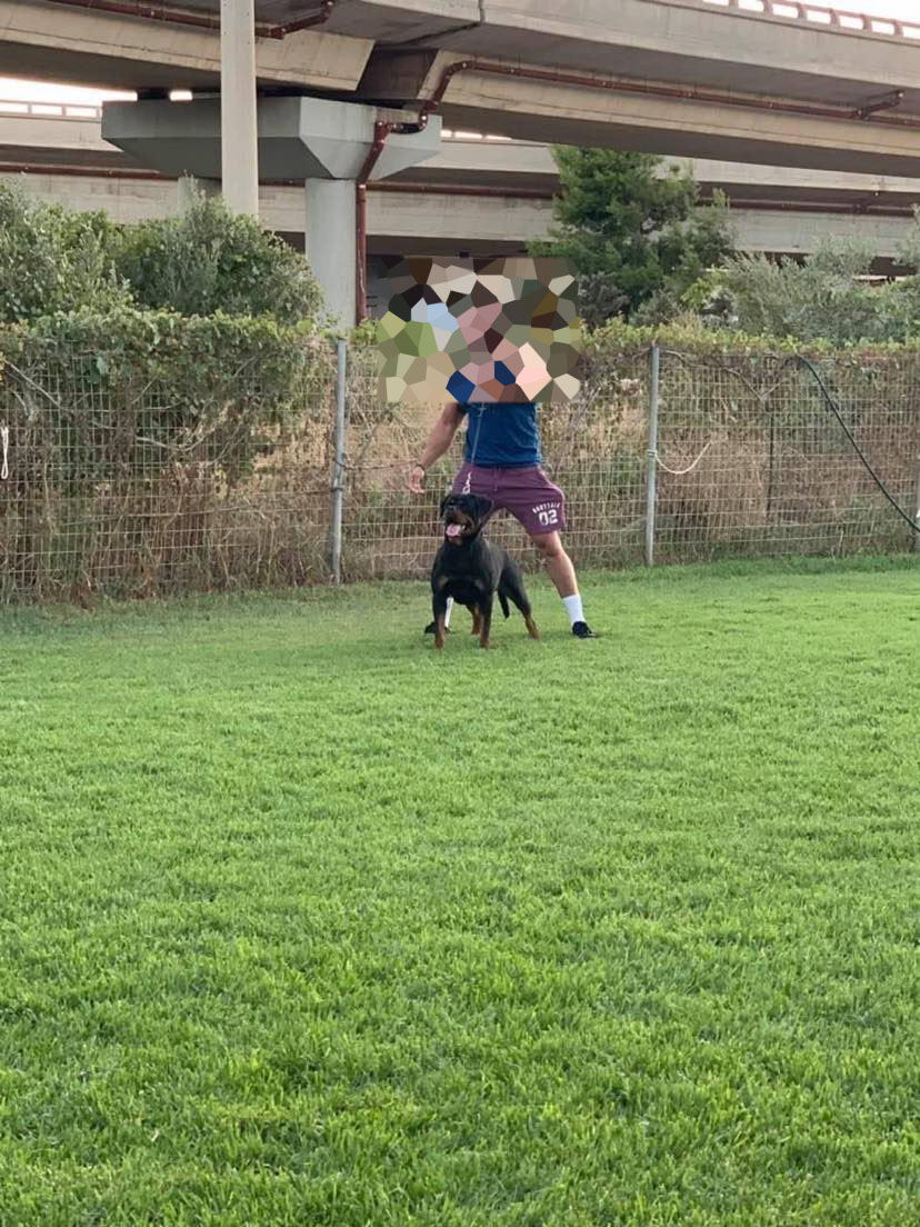 συλληφθείς δολοφονία Καραϊβάζ