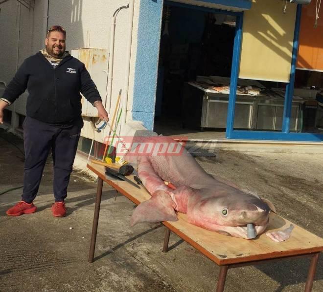 Πάτρα: Πήγαν για ψάρεμα και γύρισαν με καρχαρία 3 μέτρων