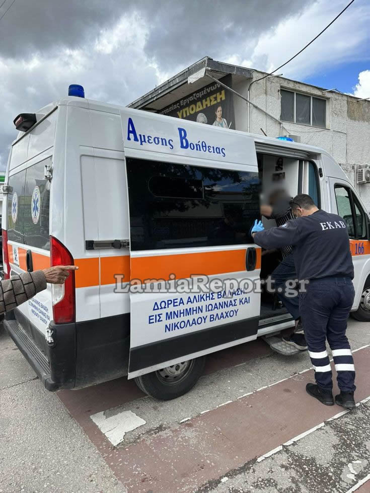 Λαμία Αδέσποτα σκυλιά